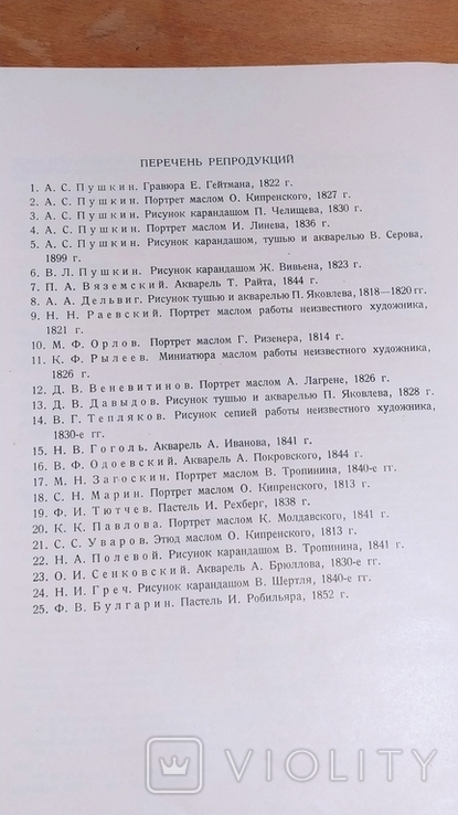 Пушкін і його літературне оточення. Видання Державного літературного музею, 1938 р. + 25 репродукцій, фото №7