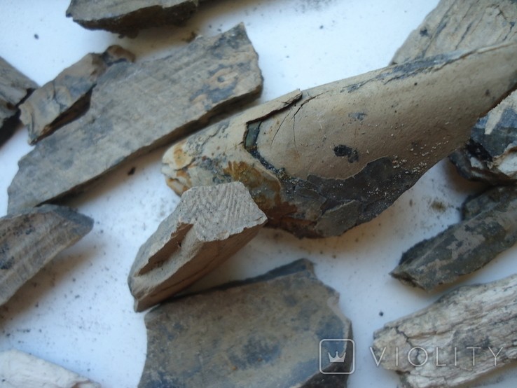 Fragments of mammoth tusk., photo number 4