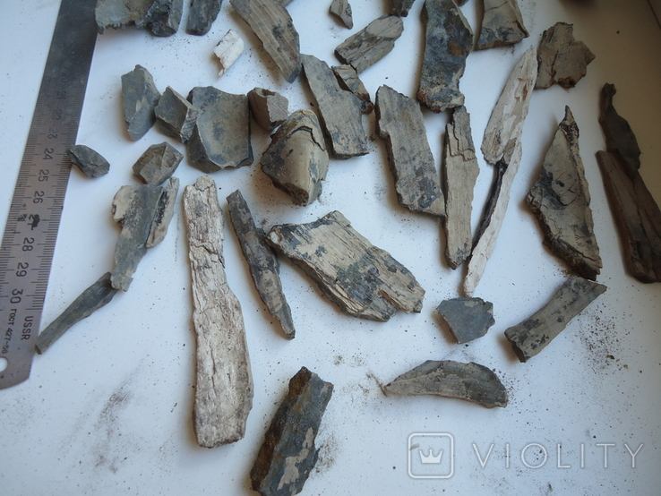 Fragments of mammoth tusk., photo number 5