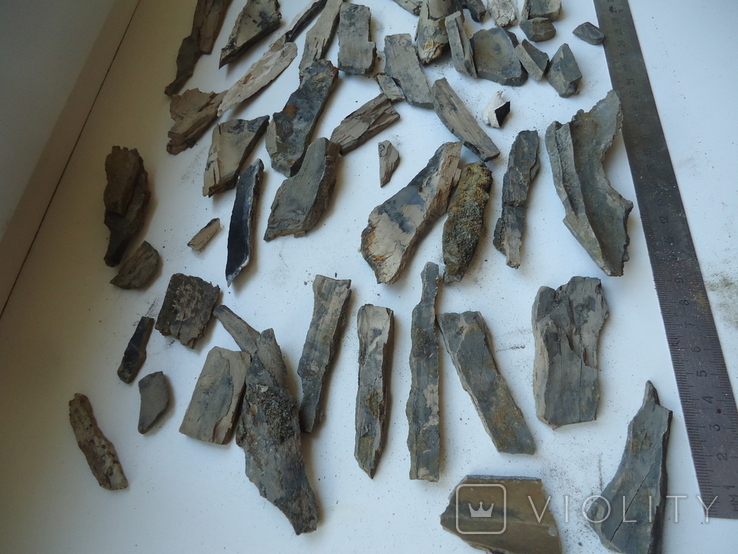 Fragments of mammoth tusk., photo number 7