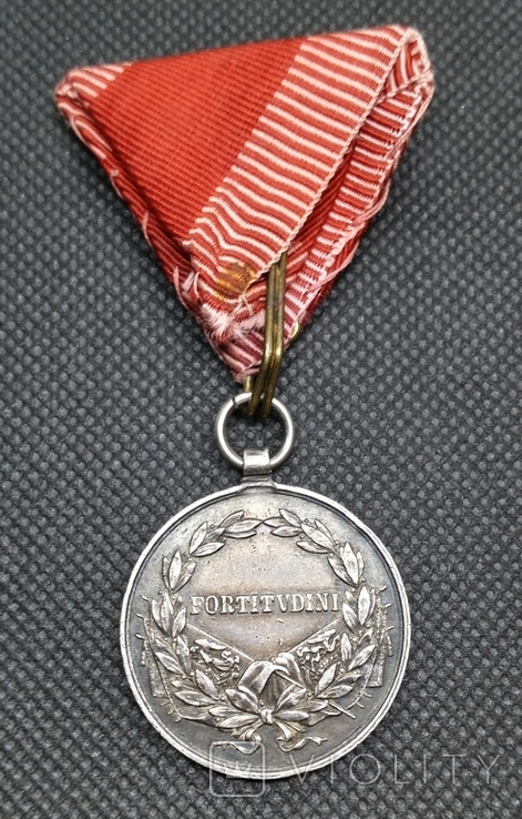 Срібна медаль за хоробрість II ступеня Fortitudini, фото №8