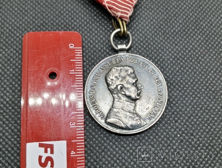 Срібна медаль за хоробрість II ступеня Fortitudini, фото №10
