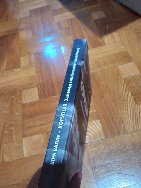 Корупція. Занепад соціального капіталу., фото №4