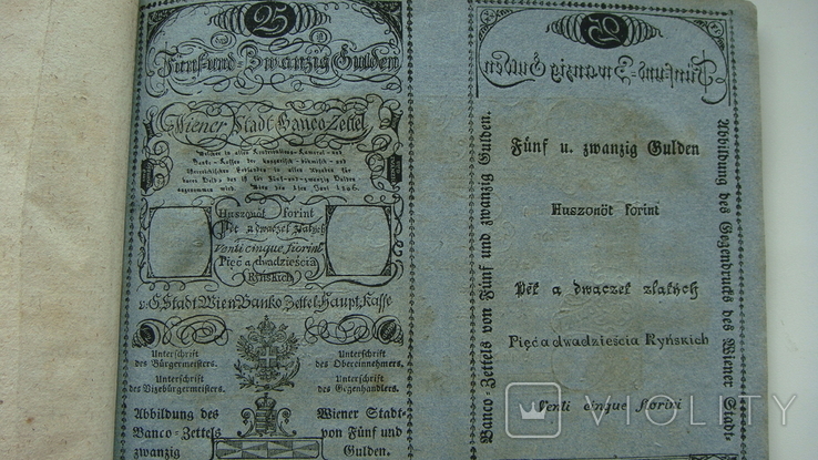 Австрия образцы 25, 50 и 100 гульденов 1806 выпущены в формуляре банка Австрии, фото №6