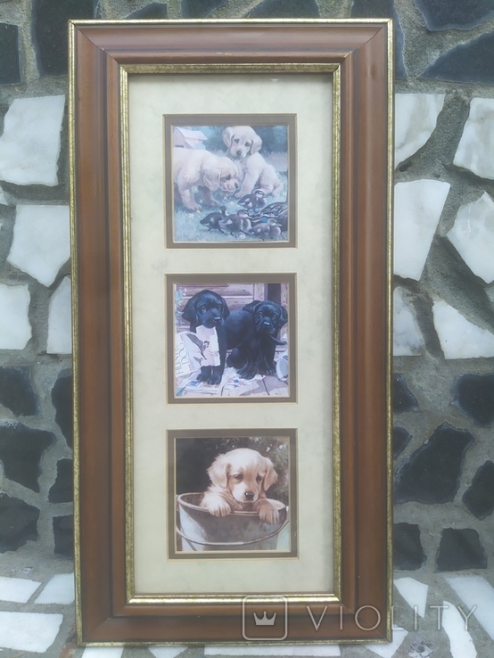 Картинка в раме Декор настенный Собаки Щенки в под стеклом № 2, 40,5х21 см, фото №2