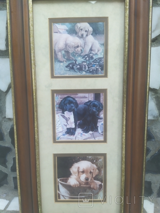 Картинка в раме Декор настенный Собаки Щенки в под стеклом № 2, 40,5х21 см, фото №3
