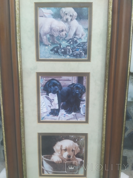 Картинка в раме Декор настенный Собаки Щенки в под стеклом № 2, 40,5х21 см, фото №4