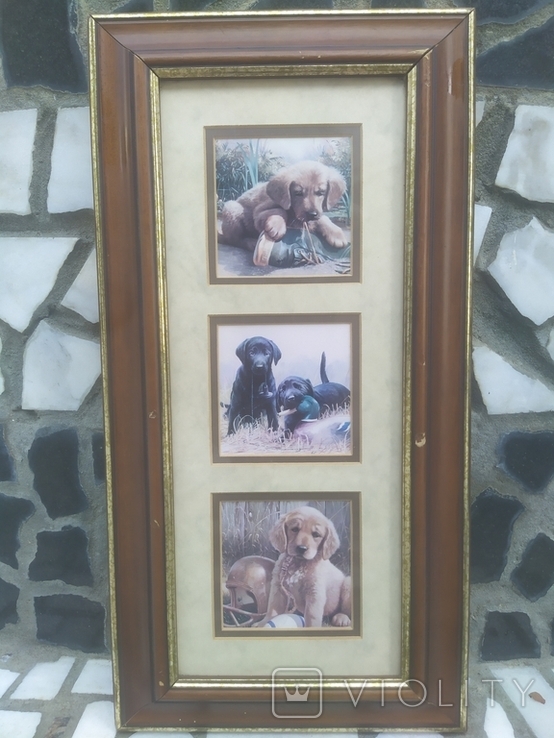 Картинка в раме Декор настенный Собаки Щенки в под стеклом № 1, 40,5х21 см, фото №3