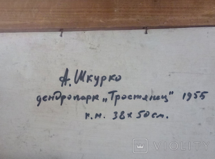 Дендро парк.Тростенец.Народный художник А.Шкурко.1955г., фото №7