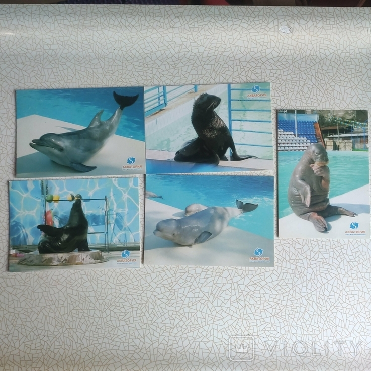5 открыткок театр морских животных, фото №2