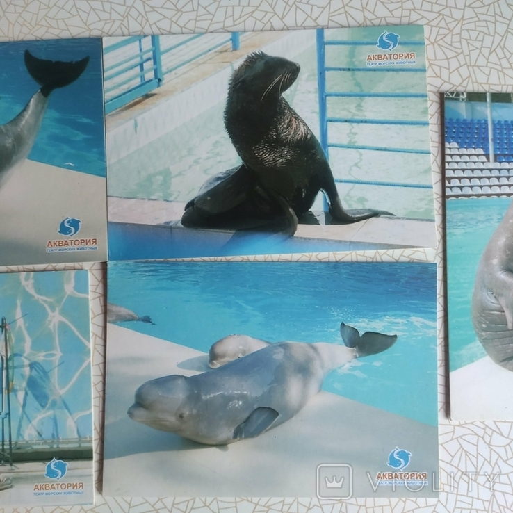 5 открыткок театр морских животных, фото №4
