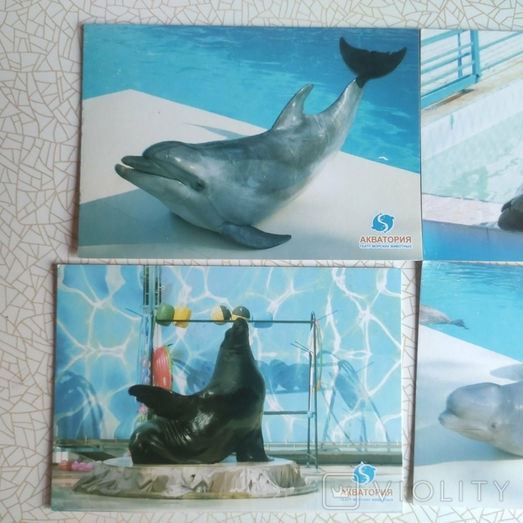 5 открыткок театр морских животных, фото №5