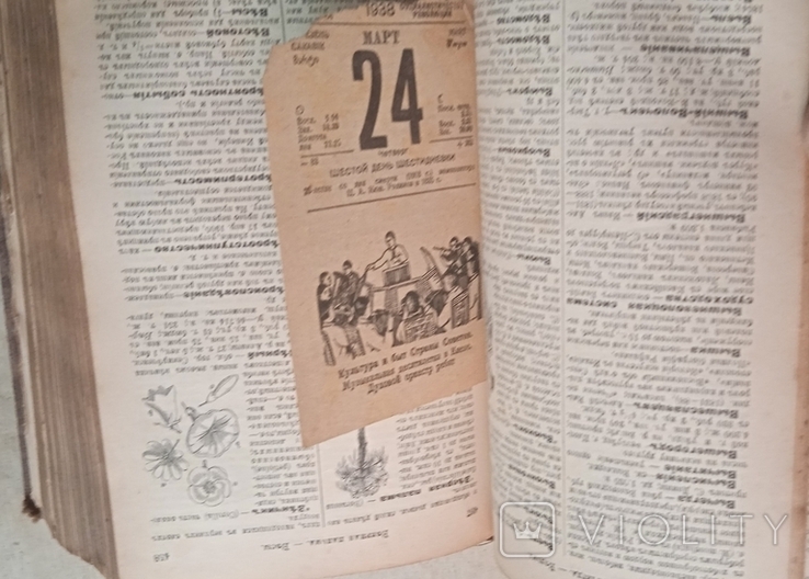 Енциклопедичний словник 1910 Павленкова, фото №7