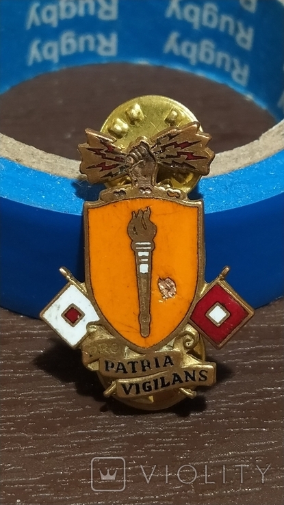 Regimental badge on the ceremonial shoulder straps of the US Army (D8), photo number 2