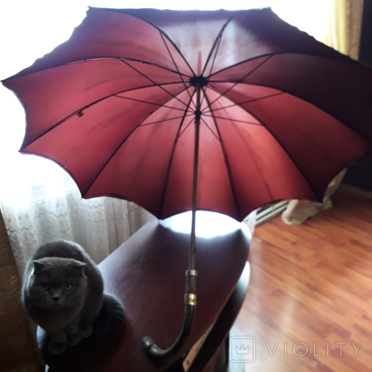 Umbrella VALENTINO (cane), photo number 2