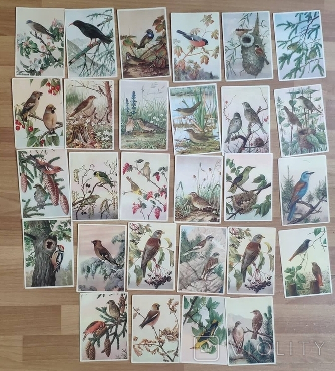 28 серійних листівок СРСР. Птахів. Чистий. У відмінному стані, фото №2