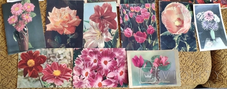 34 листівки СРСР. Квіти, фото №5