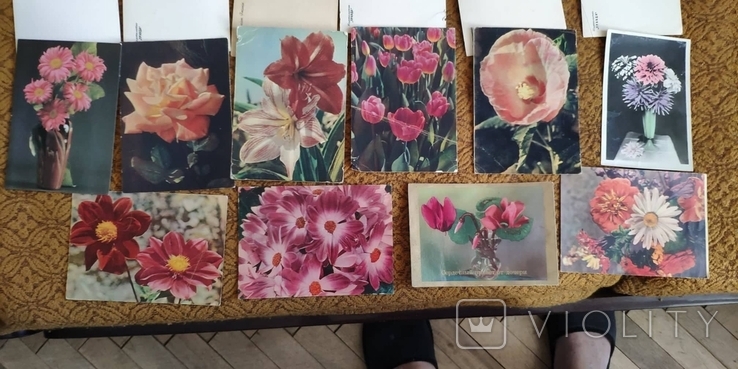 34 листівки СРСР. Квіти, фото №6