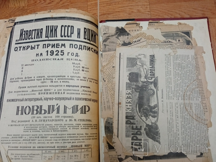 Журнал Красная Нива 1924 год, фото №6