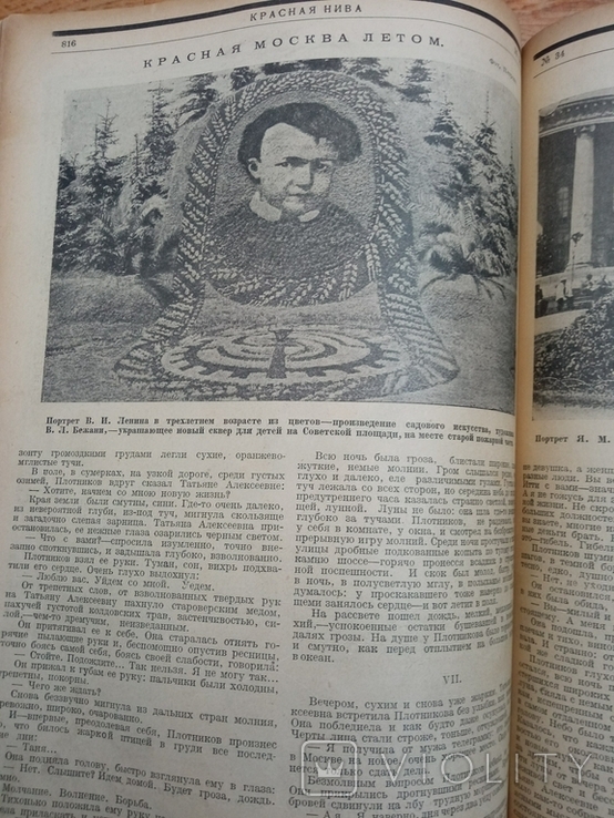 Журнал Красная Нива 1924 год, фото №12