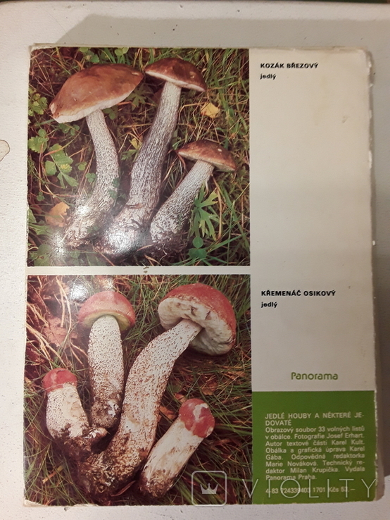 JEDLE HOUBY a nektere jedovate (Съедобные грибы и некоторые ядовитые), фото №3