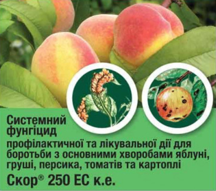 Фунгіцид для захисту плодових дерев Скор 2 мл 200219, фото №3