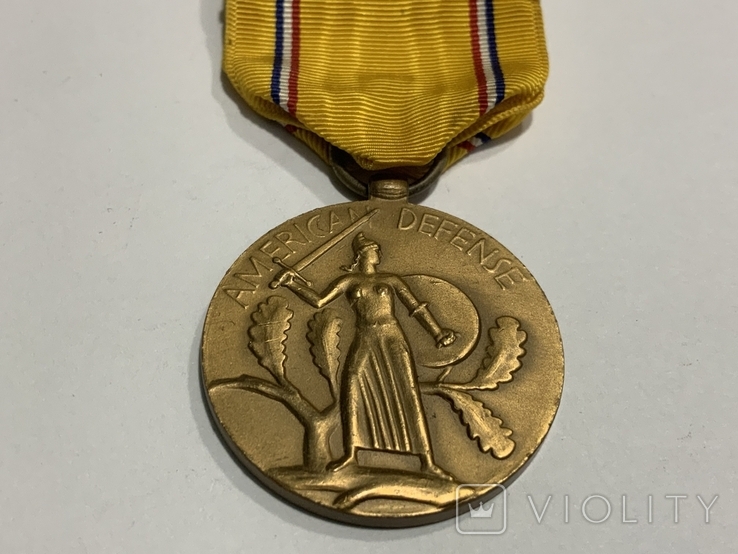 Медаль Службы Обороны США, фото №2