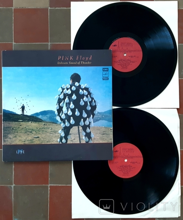 Pink Floyd - Delicate Sound Of Thunder - 1988. (2LP). 12. Vinyl