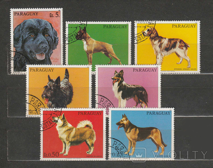 1986 Парагвай Собаки