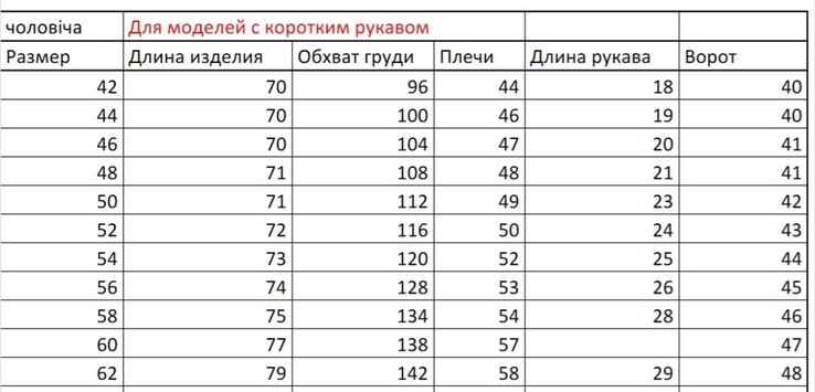 Вишита чоловіча сорочка з коротким рукавом з синього льону, фото №6