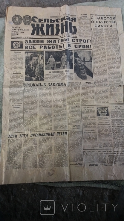 Газета "Сельская жизнь" 15 августа 1981 г, numer zdjęcia 3