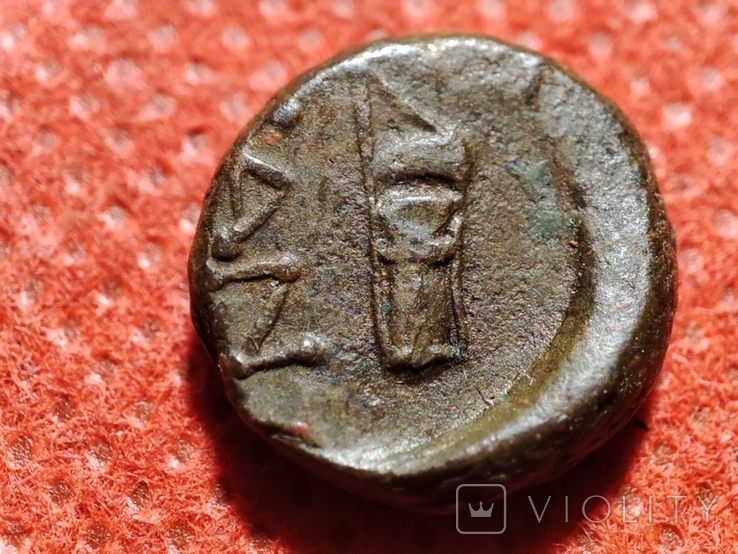 Пантикапей.Лот из 3 монет.Аполлон -горит..Бык-плуг,колос.Перисад 4.Камасарии.2 в.до.н.э., фото №4