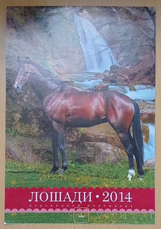 Календар: Лошади. 2014, фото №2