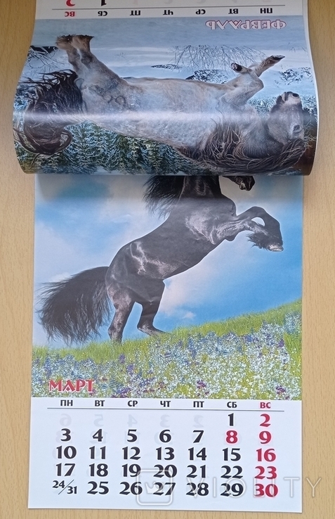Календар: Лошади. 2014, фото №4