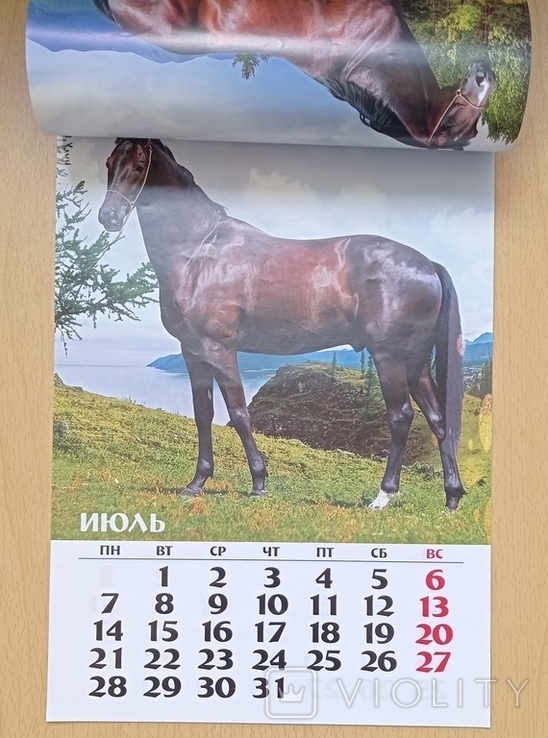 Календар: Лошади. 2014, фото №6