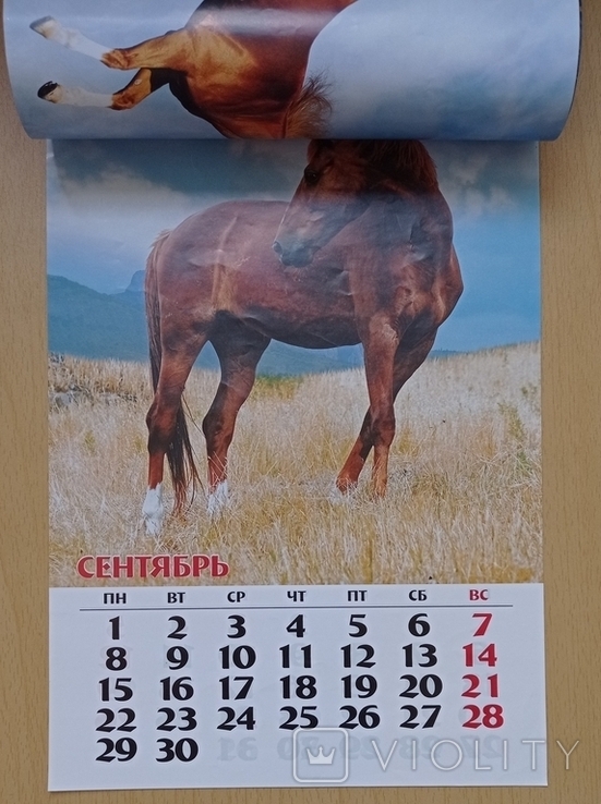 Календар: Лошади. 2014, фото №7