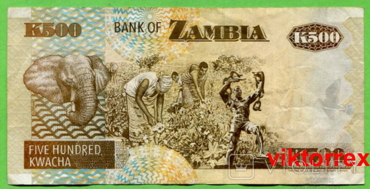 Замбия 500 квача 1992, фото №3