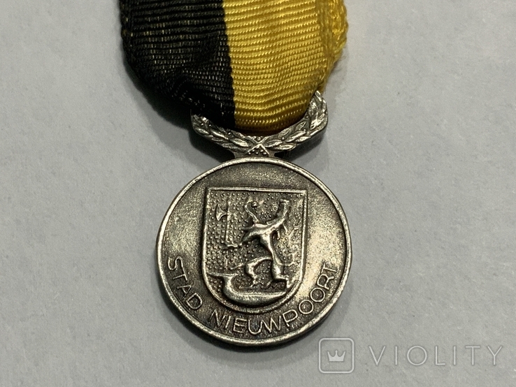 Медаль День Франко-Бельгийского Союза миниатюра Бельгия, фото №3