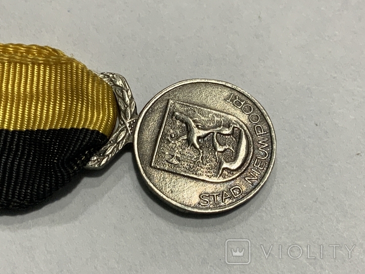 Медаль День Франко-Бельгийского Союза миниатюра Бельгия, фото №5