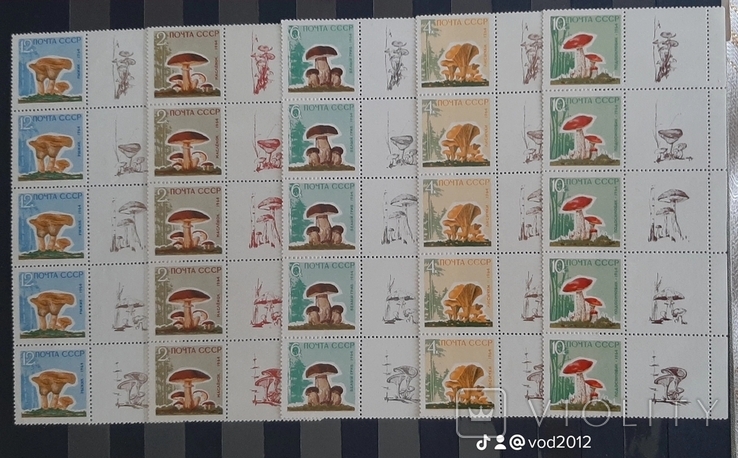 1964 Mushrooms. Stripes Pr.Coupon. MNH.