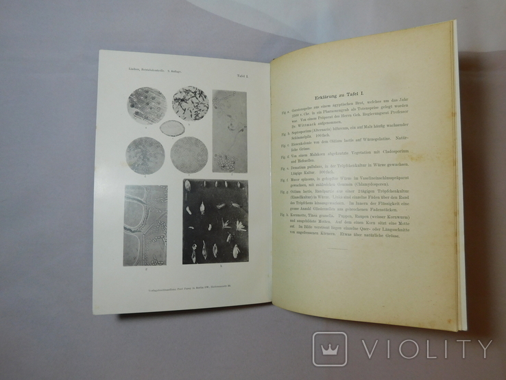 Lindner. Mikroskopische Betriebskontrolle in den Grungsgewerben. Berlin 1898, фото №10