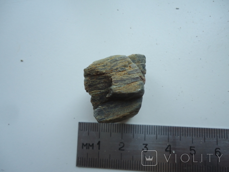 Fragment of petrified wood., photo number 5