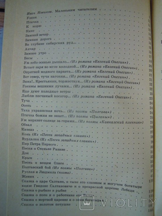 Пушкін, фото №4