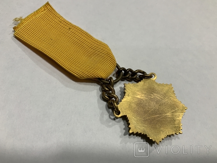 Медаль Масонская, фото №5