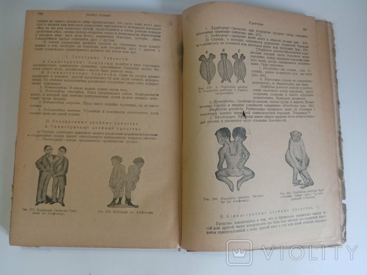 Fundamentals of Pathological Anatomy, 1931, photo number 3