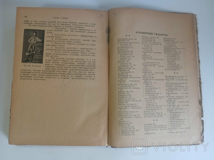 Fundamentals of Pathological Anatomy, 1931, photo number 9
