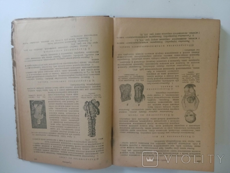 Fundamentals of Pathological Anatomy, 1931, photo number 10