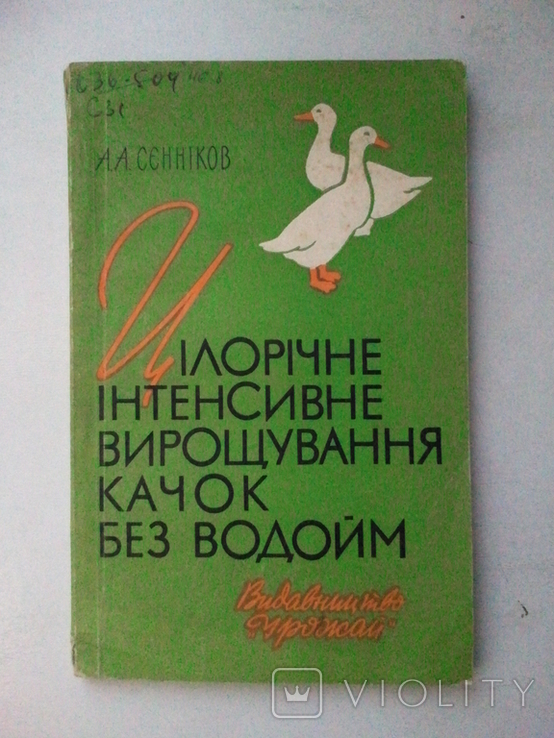 Year-round intensive cultivation of ducks without reservoirs. 1964, photo number 2