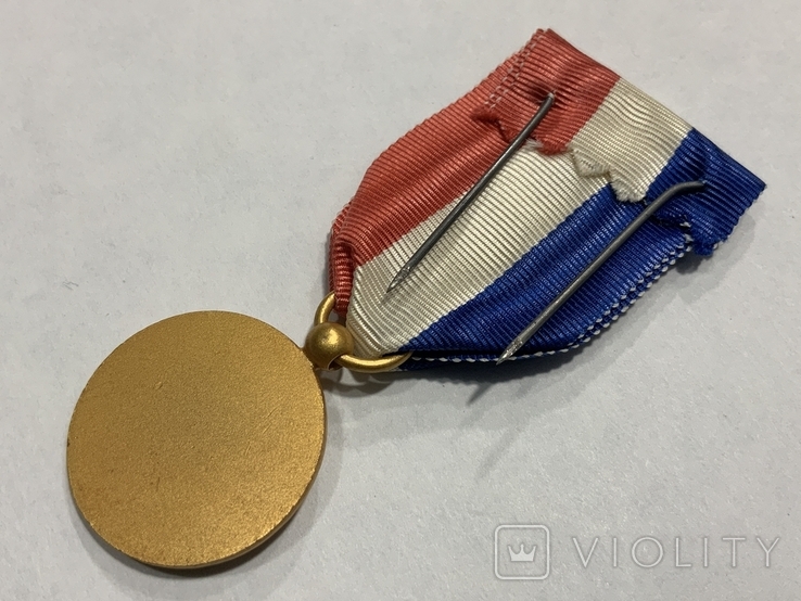 Медаль Французьський Сувенір, фото №5