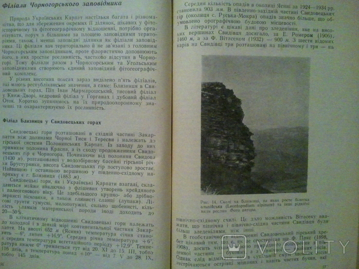 Nature reserves and natural monuments of the Ukrainian Carpathians. 1966, photo number 6
